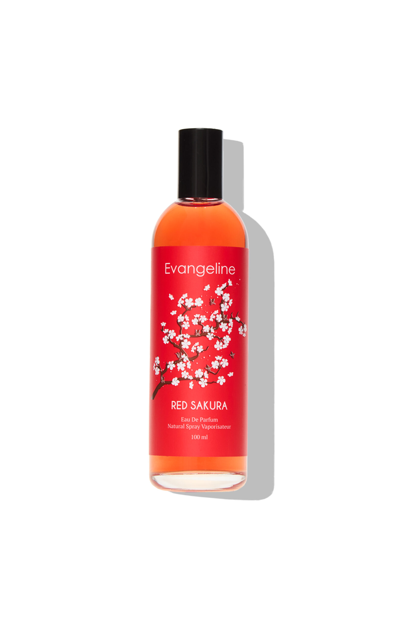 Evangeline Eau De Parfum Red Sakura 100 ML